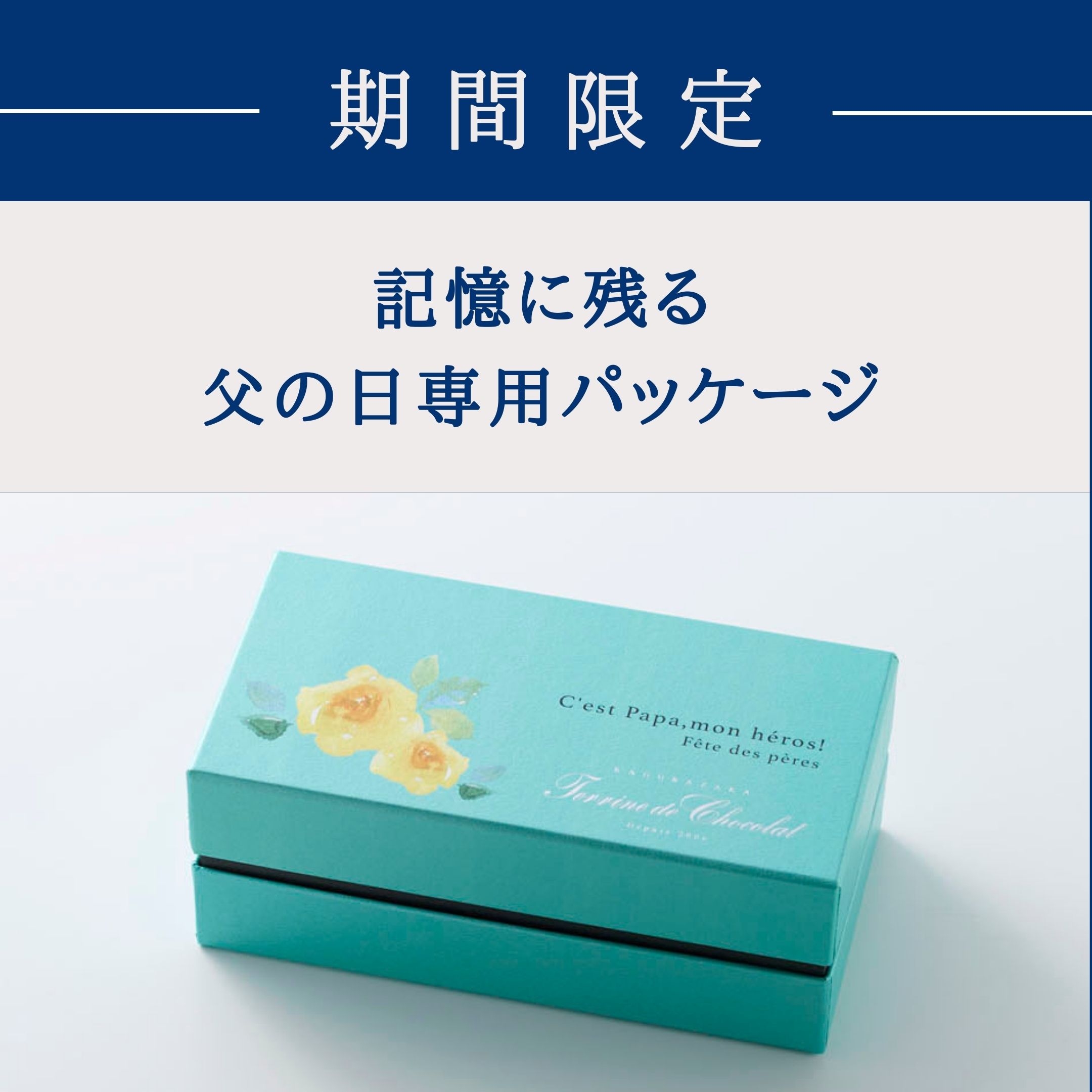 パッケージ特集用