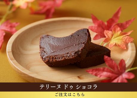 テリーヌ ドゥ ショコラ
