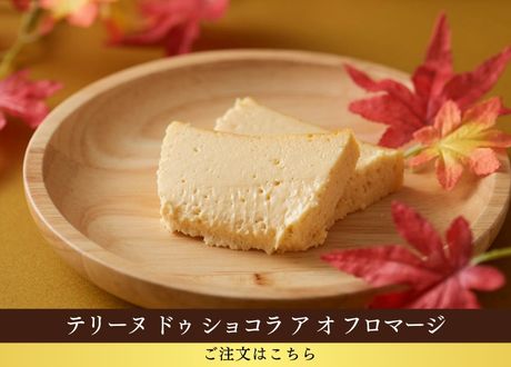テリーヌ ドゥ ショコラ オ フロマージュ