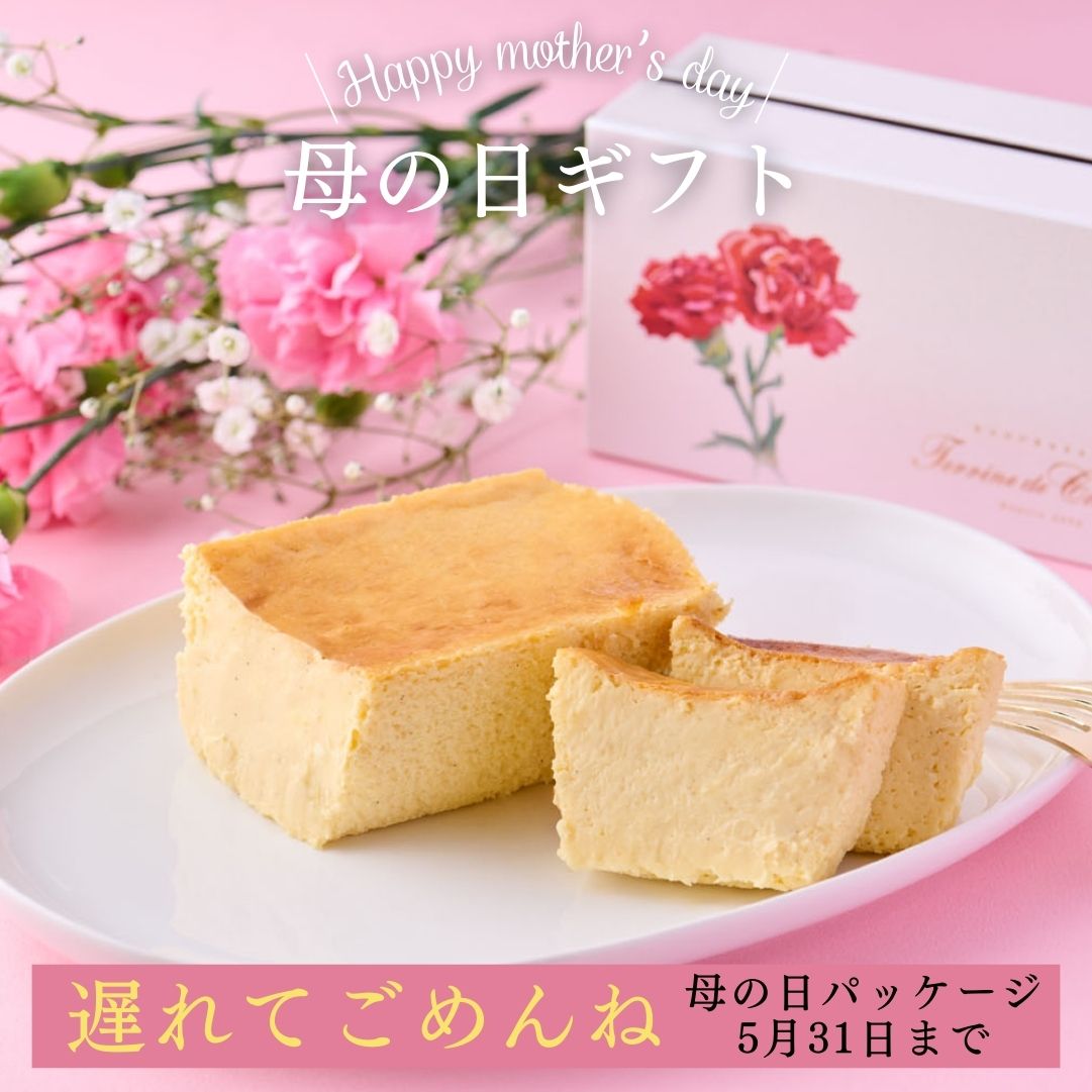 テリーヌ ドゥ ショコラ オ フロマージュ