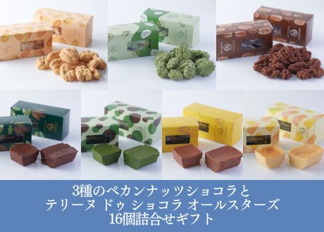 3種のペカンナッツショコラとテリーヌ ドゥ ショコラ オールスターズ 16個詰め合わせギフト
