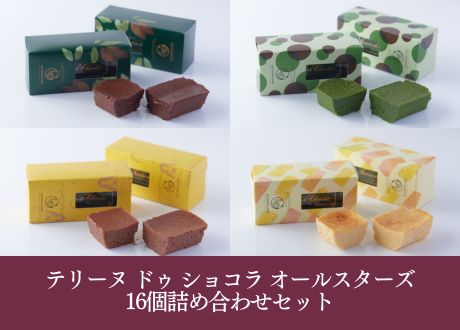 テリーヌ ドゥ ショコラ オールスターズ16個詰め合わせセット