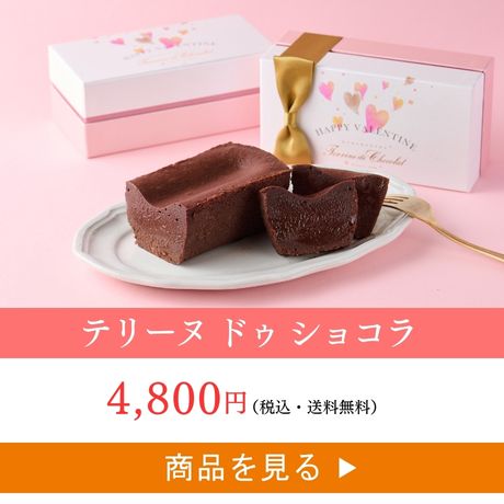 テリーヌ ドゥ ショコラ