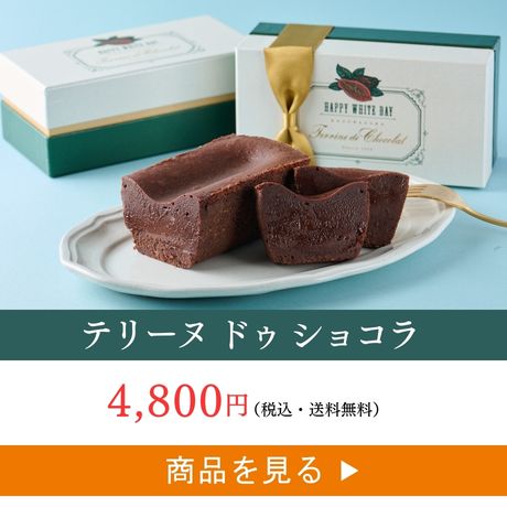テリーヌ ドゥ ショコラ