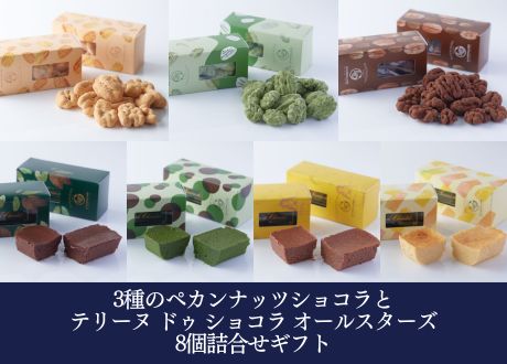 3種のペカンナッツショコラとテリーヌ ドゥ ショコラ オールスターズ8個詰合せギフト