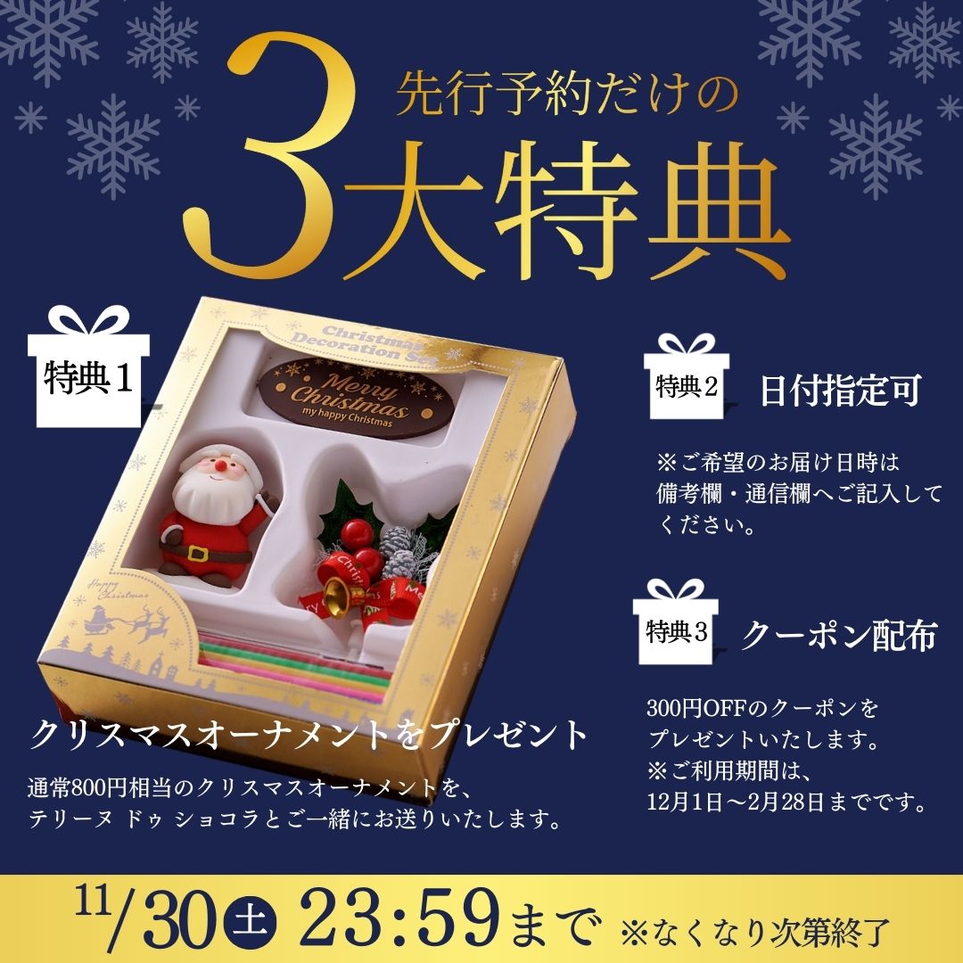 クリスマス特典2 