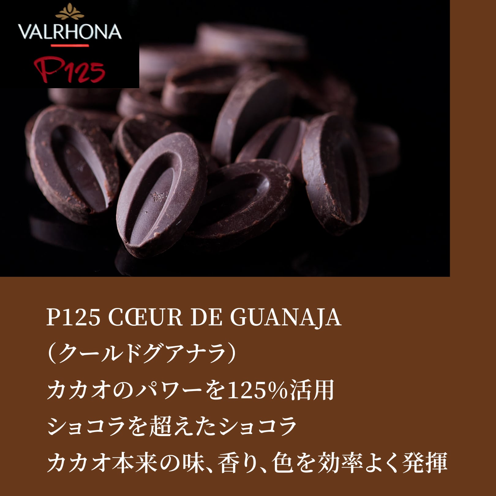 P125 CŒUR DE GUANAJA（クールドグアナラ）カカオのパワーを125%活用ショコラを超えたショコラカカオ本来の味、香り、色を効率よく発揮
