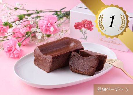 テリーヌ ドゥ ショコラ