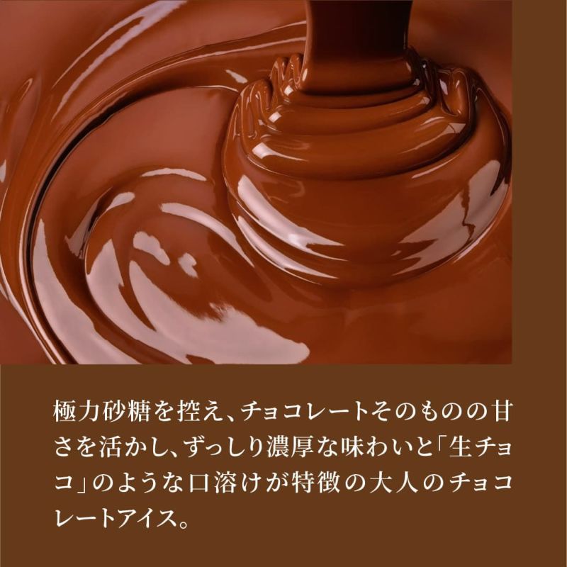 チョコレートをそのまま食べているような高級感あるアイス