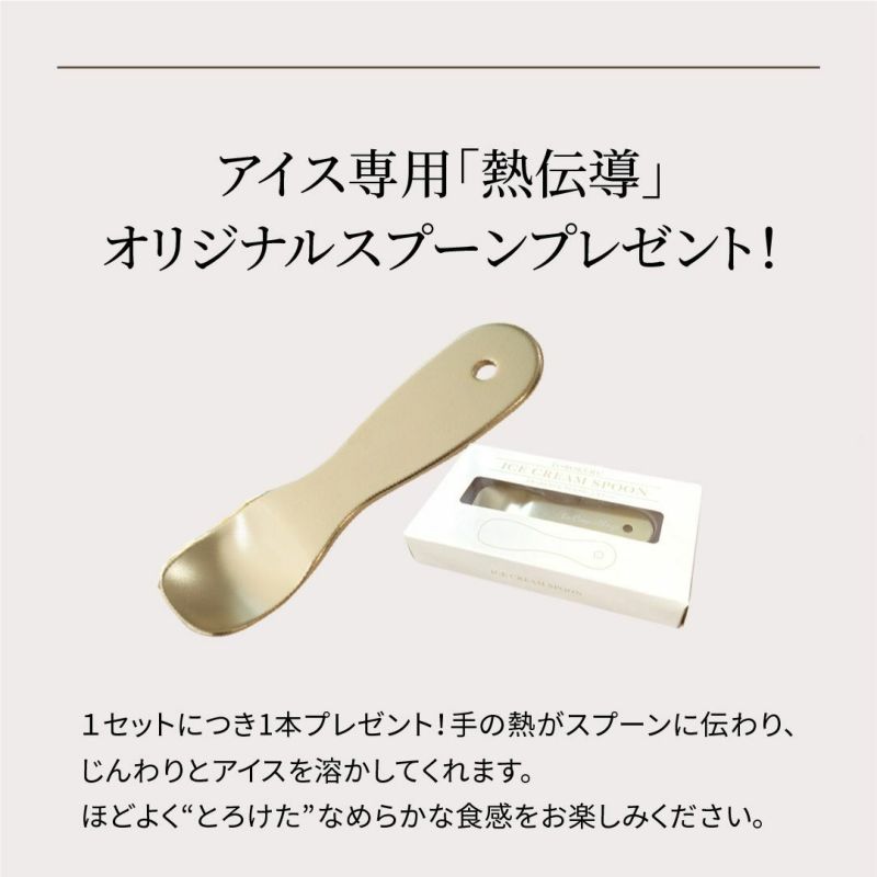 ロゴ入りのアイクリーム専用スプーン付き